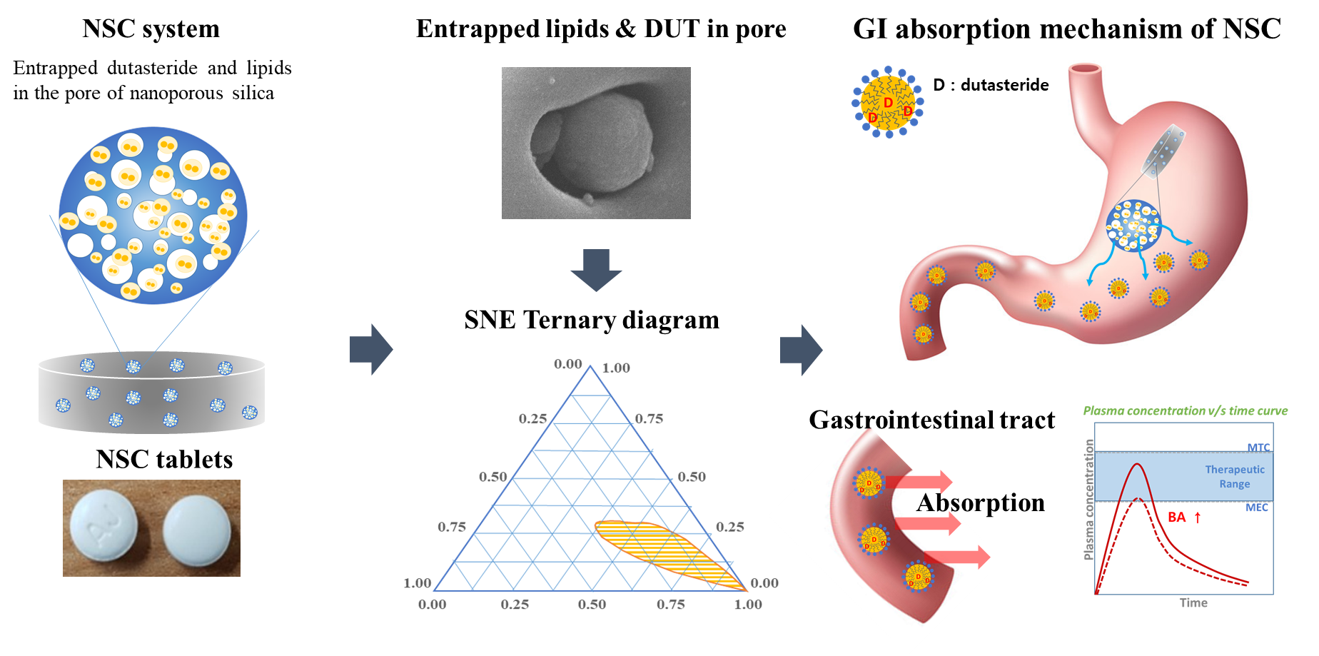 graphical abstract of Nanoporous Silica Entrapped Lipid-Drug Complexes for the Solubilization and Absorption Enhancement of Poorly Soluble Drugs
