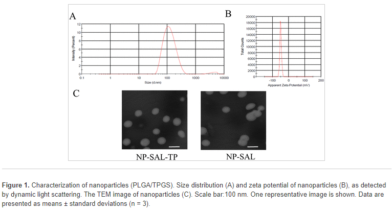 Characterization-of-PLGA-TPGS-Nanoparticles