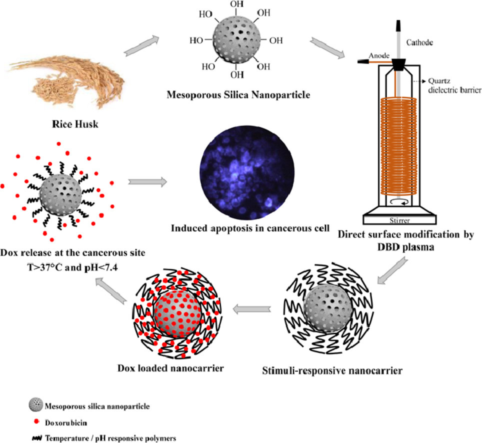 graphical abstract of Direct surface modification of mesoporous silica nanoparticles by DBD plasma as a green approach to prepare dual-responsive drug delivery system