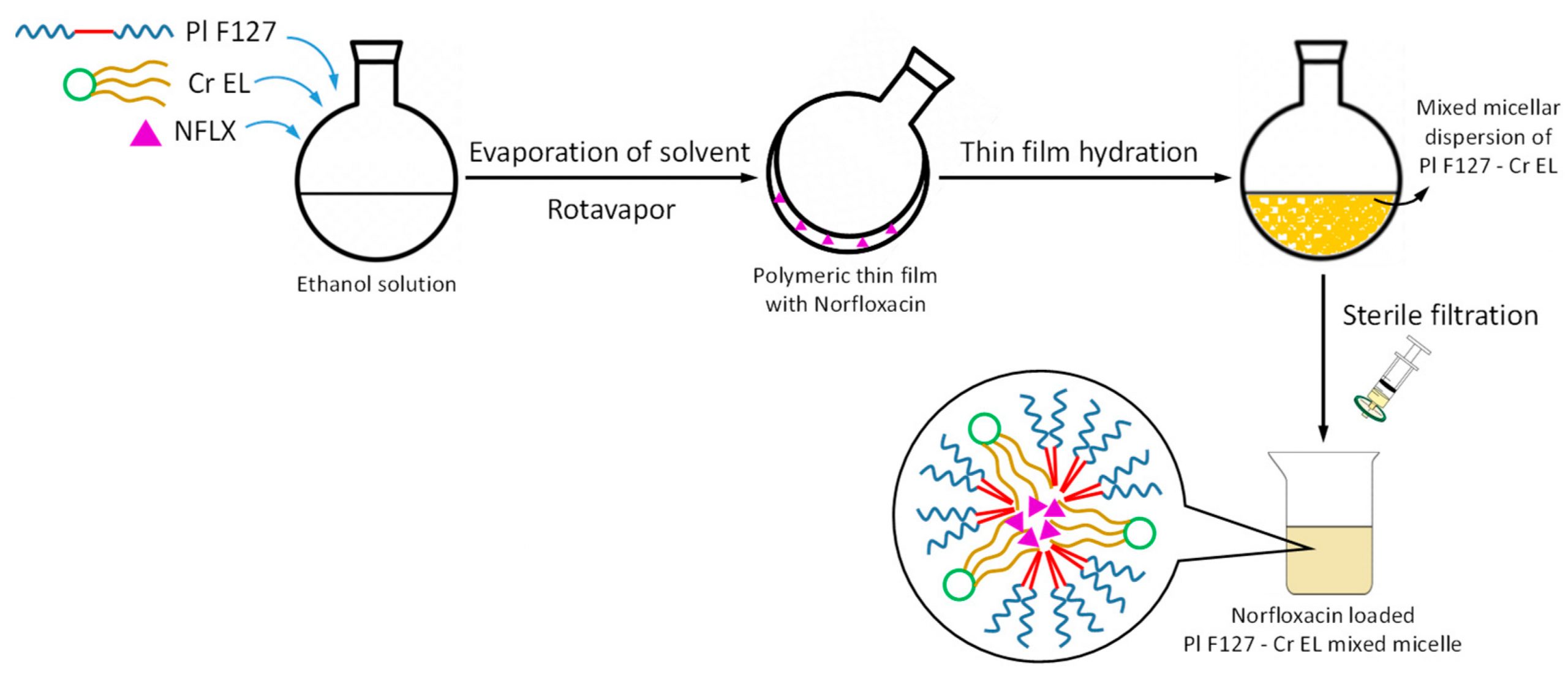 graphical abstract of Mixed Pluronic - Cremophor Polymeric Micelles as Nanocarriers for Poorly Soluble Antibiotics - The Influence on the Antibacterial Activity