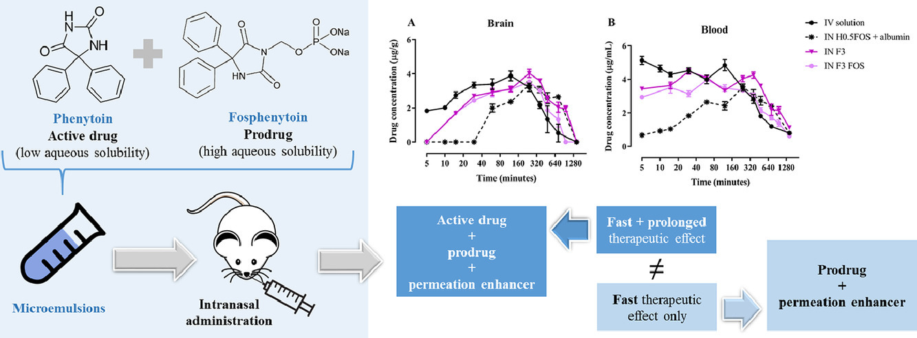 graphical abstract of Nose-to-brain delivery of phenytoin and its hydrophilic prodrug fosphenytoin combined in a microemulsion - formulation development and in vivo pharmacokinetics